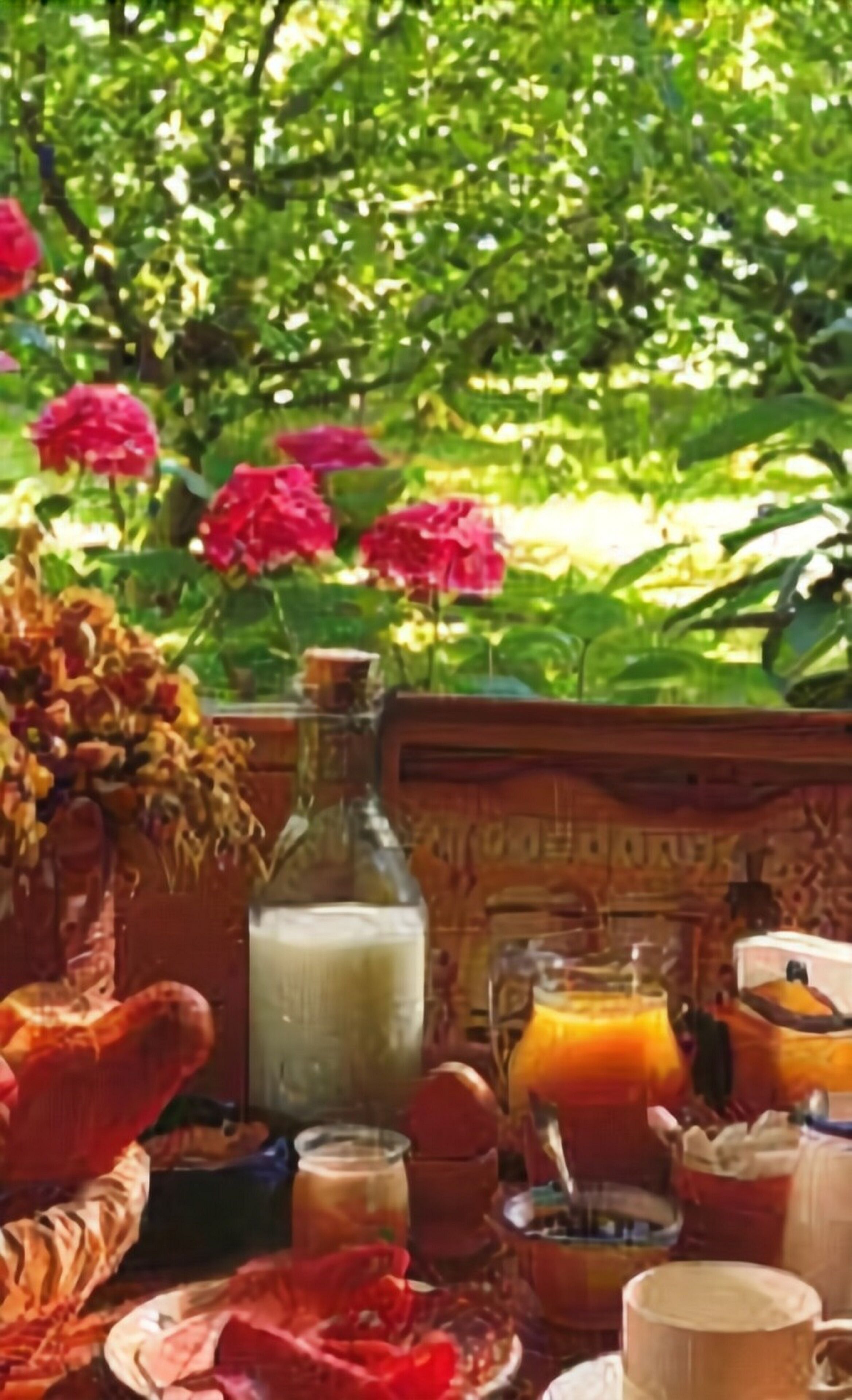 Une table de petit-déjeuner, dressée à l’extérieur avec vue sur le jardin, où l’on trouve divers aliments et boissons.