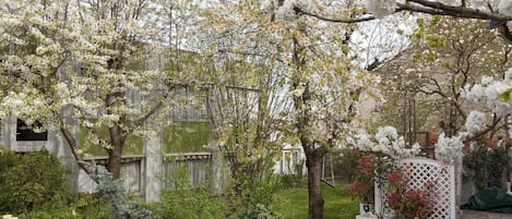 Garden view