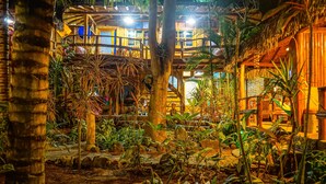 Un exuberante jardín interior con estructuras de madera y plantas tropicales.