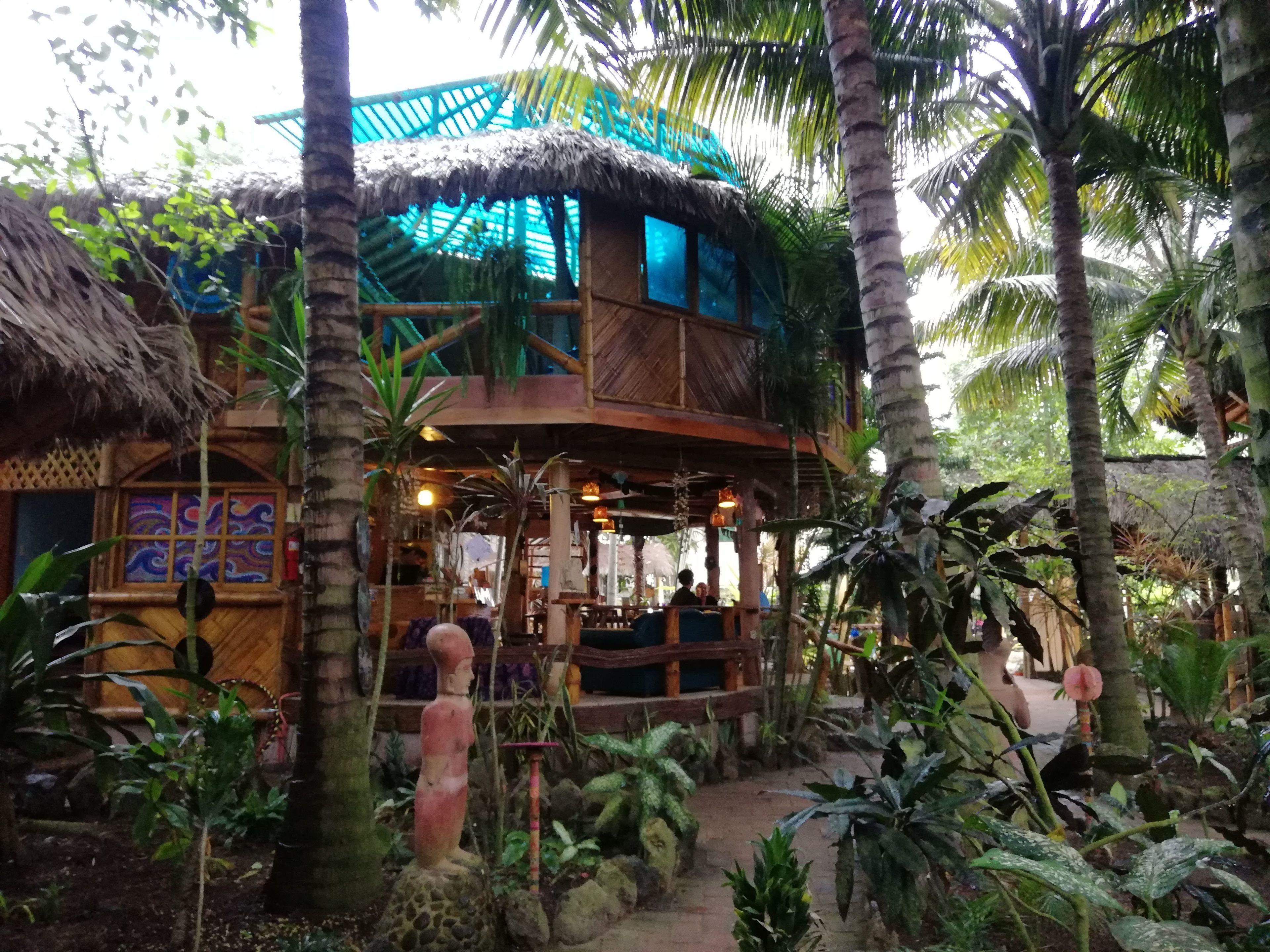 Un edificio rústico con tejado de paja, rodeado de plantas tropicales y palmeras.