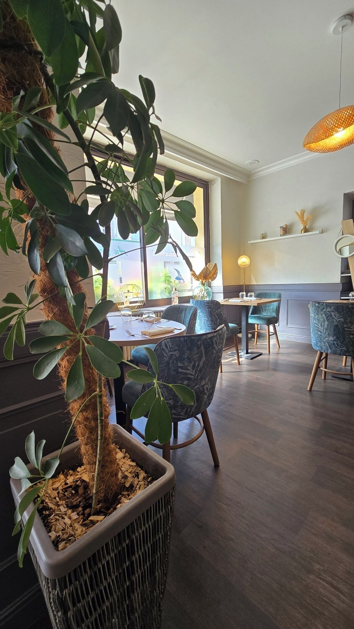 Un'area pranzo moderna con una grande pianta in vaso, tavoli e sedie in legno.