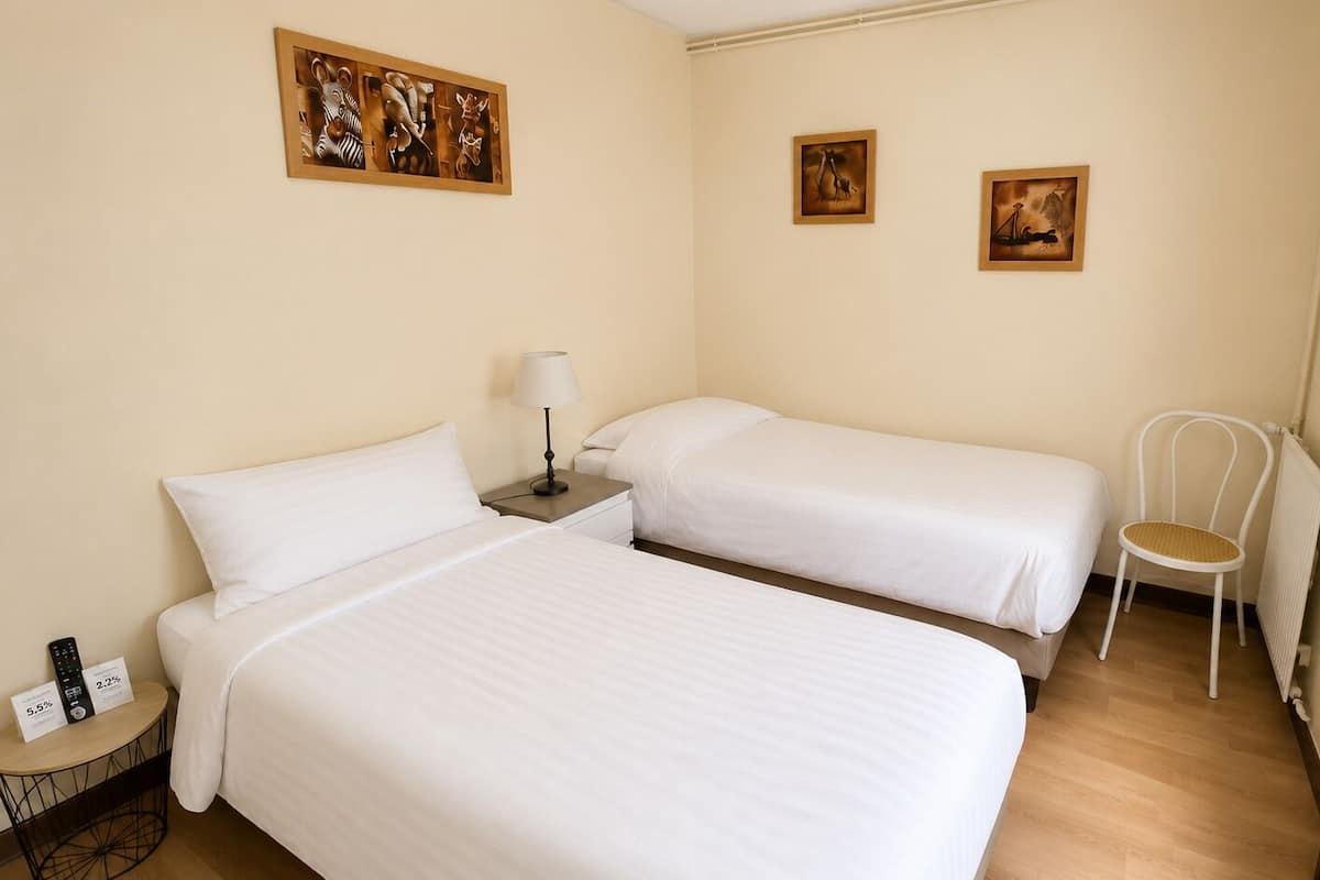 Habitación estándar, 2 camas individuales | Wifi gratis