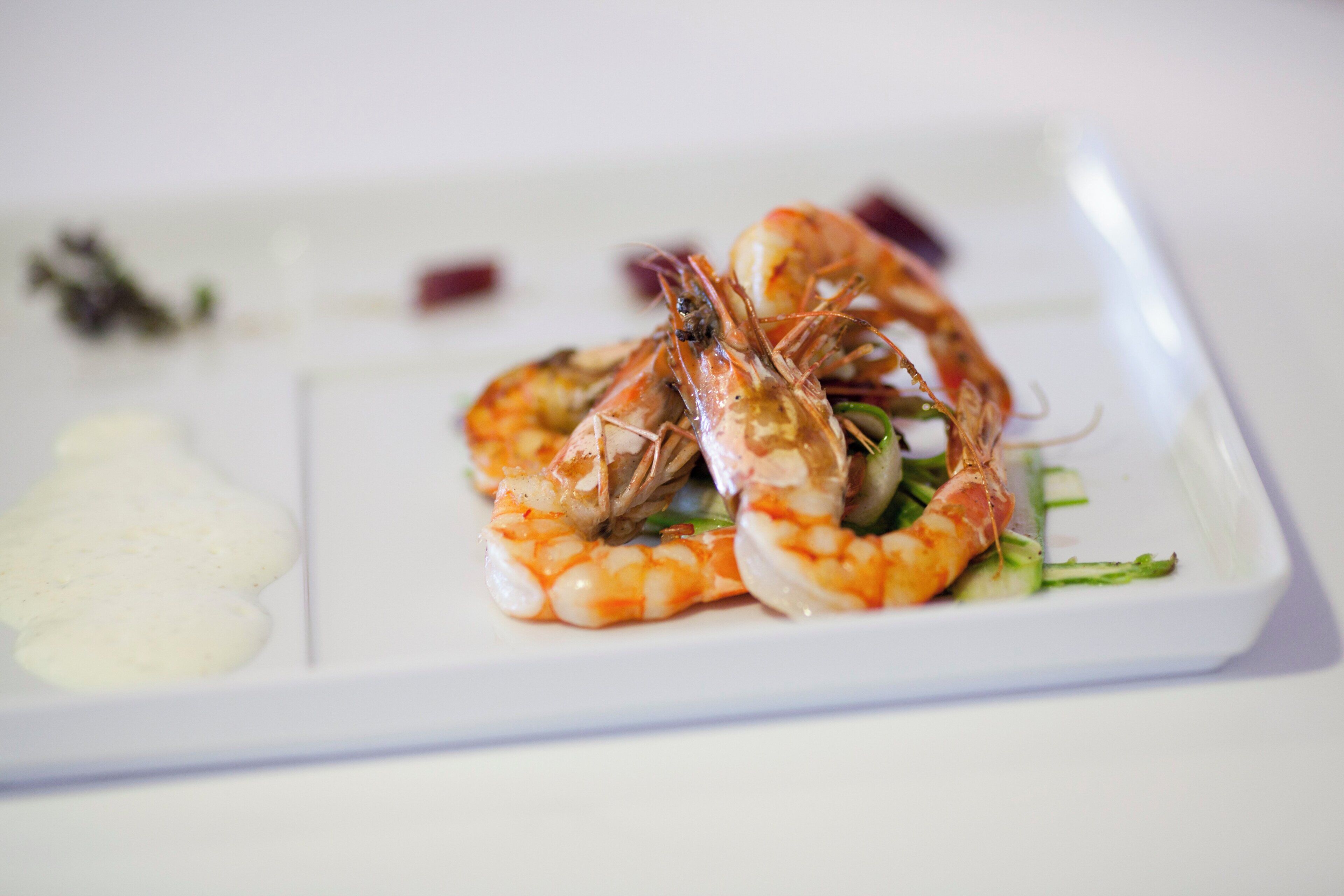Un plato con camarones cocidos y una porción pequeña de salsa blanca.
