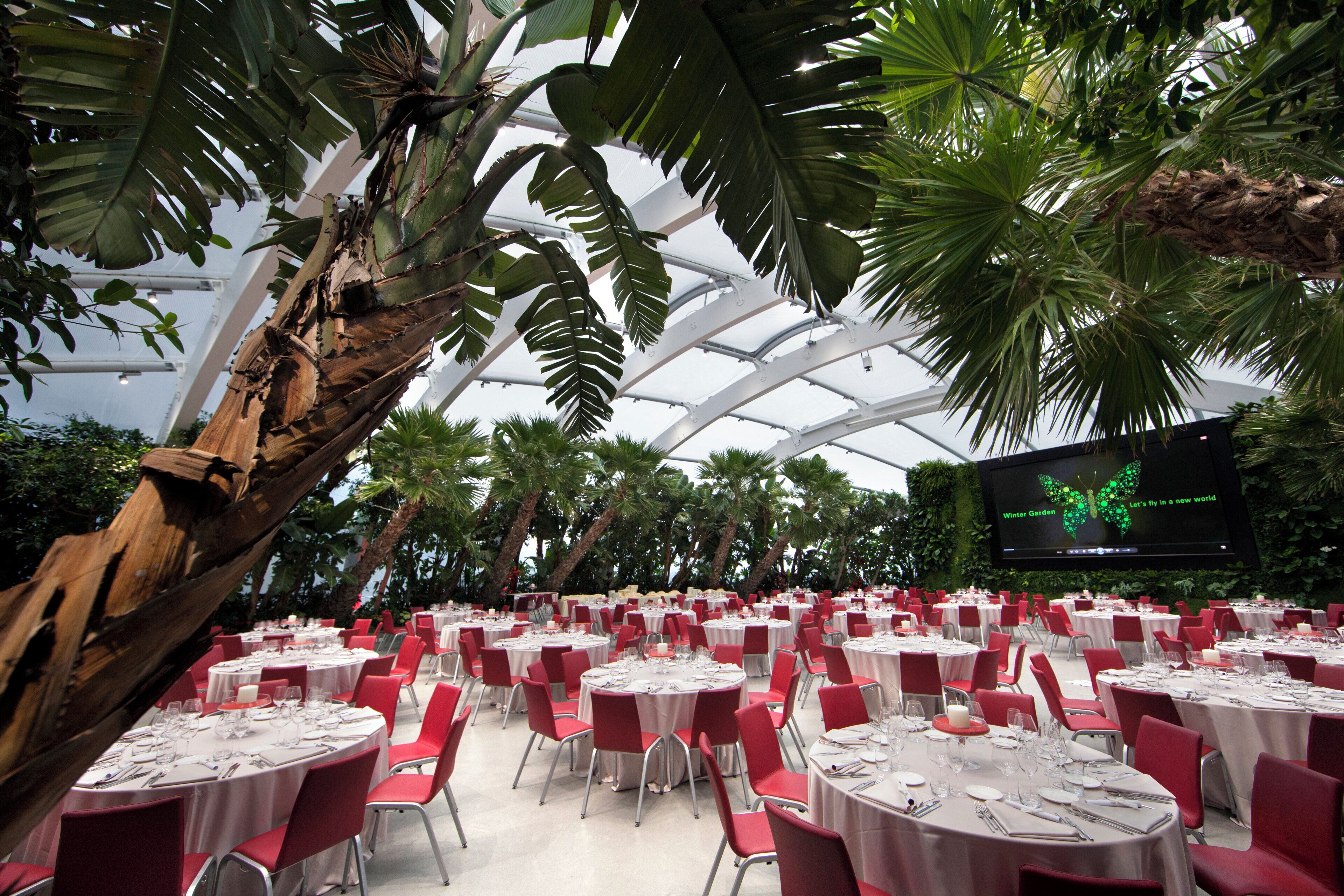 An indoor venue with round tables and red chairs, surrounded by tropical plants and a large screen displaying a butterfly.