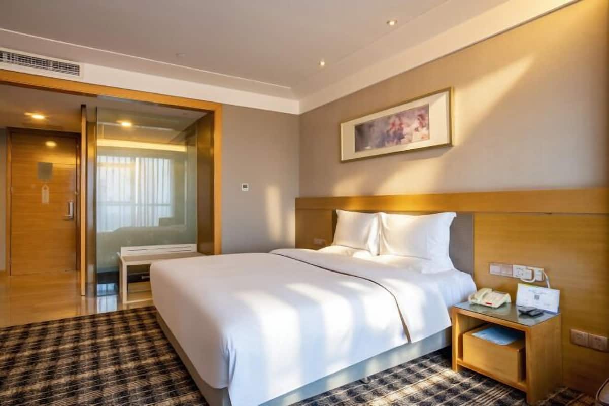 Hochwertige Bettwaren, Daunenbettdecken, Minibar, Zimmersafe