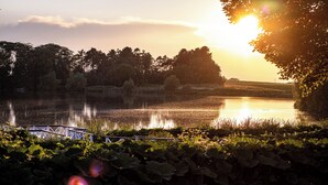 A serene lakeside scene with a wooden bridge and lush greenery. - Hotel Sørup Herregaard (Ringsted)