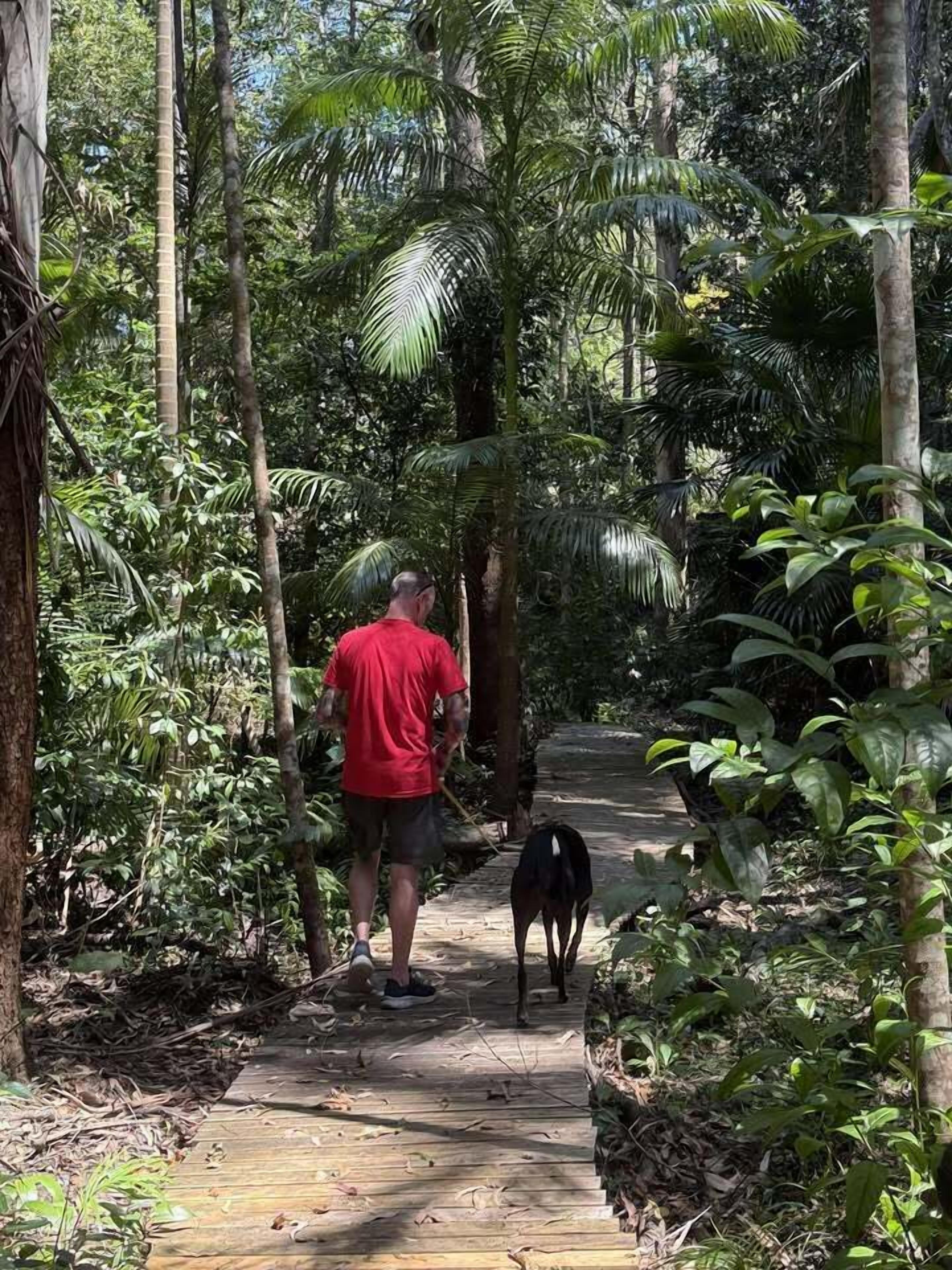 Een man wandelt met een hond over een houten pad, omringd door weelderige tropische begroeiing.