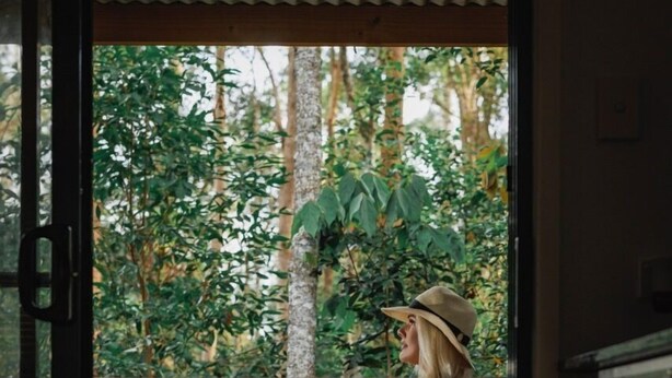 A person sitting on a chair by a window overlooking a lush garden. - Amore On Buderim Luxury Rainforest Cabins (Buderim)