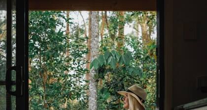 Amore On Buderim Luxury Rainforest Cabins