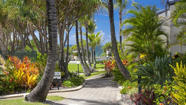 Un camino bordeado de palmeras y plantas tropicales que lleva a un edificio con un cartel de recepción.