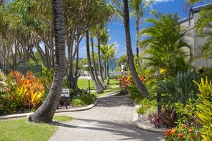 Un camino bordeado de palmeras y plantas tropicales que lleva a un edificio con un cartel de recepción.