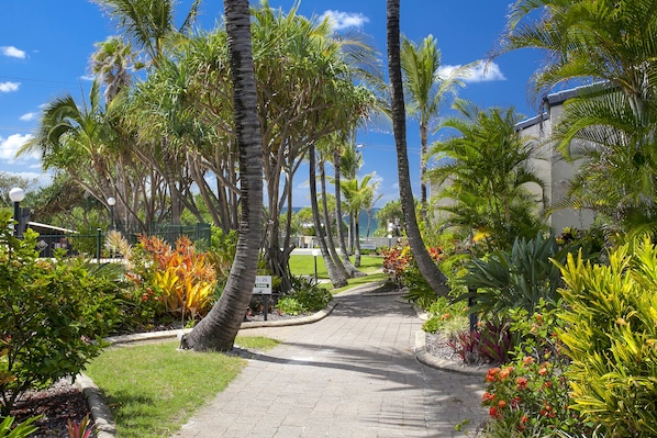 A paved pathway lined with palm trees and various plants, leading to a building with a sign indicating room numbers.