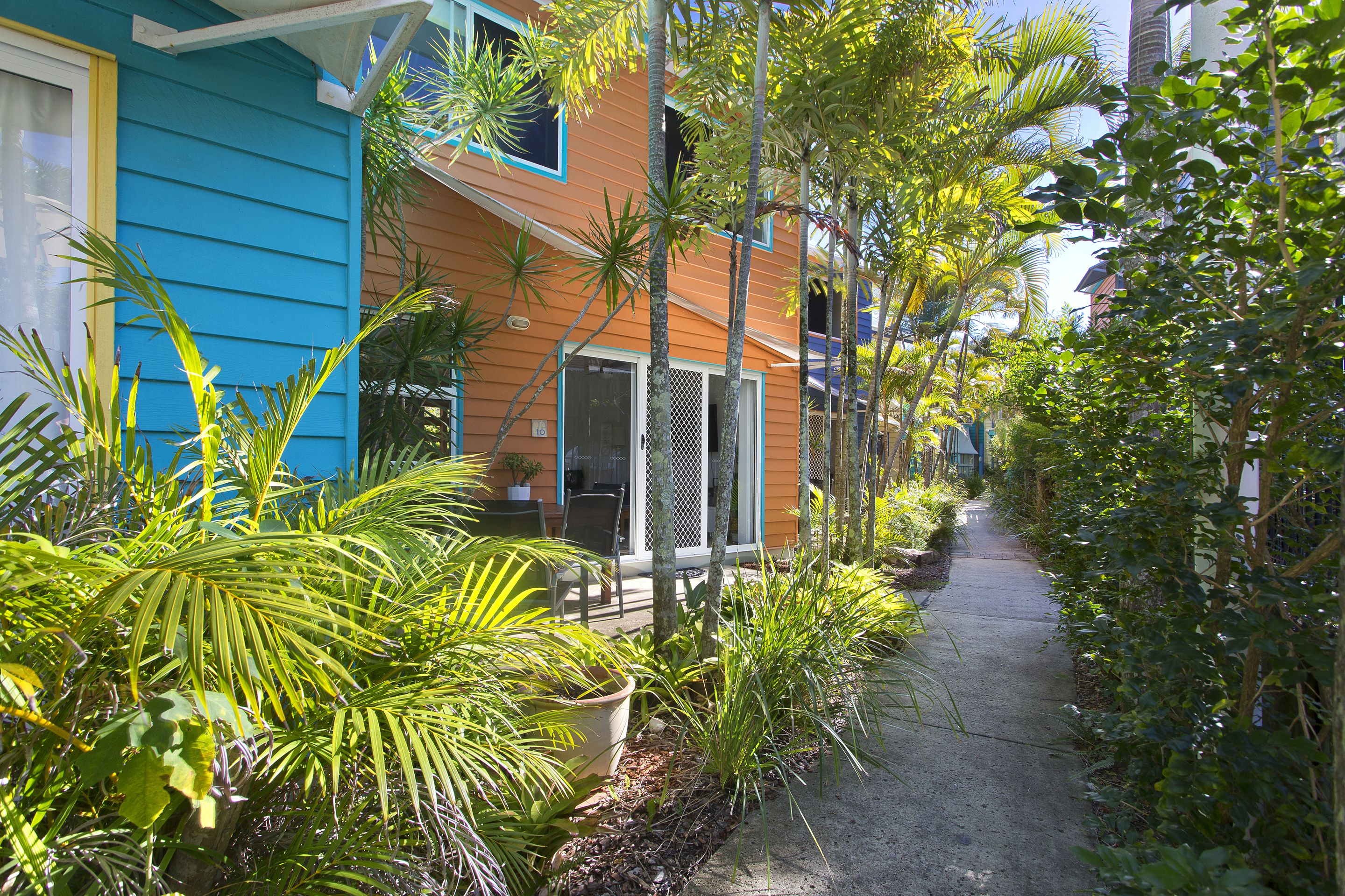 A narrow pathway flanked by lush greenery and a building with a blue and orange facade.