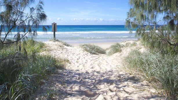 Un sentier de sable qui longe la plage et mène à l’océan, bordé d’arbres et surplombé d’un ciel bleu clair.