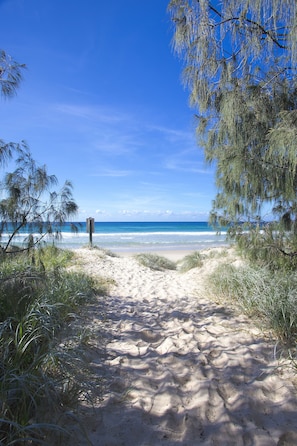 Un sentier de sable qui longe la plage et mène à l’océan, bordé d’arbres et surplombé d’un ciel bleu clair.