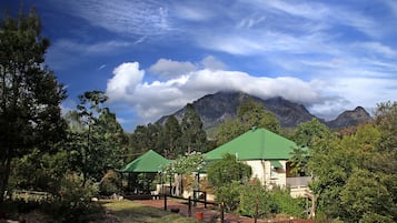 Ngoại thất