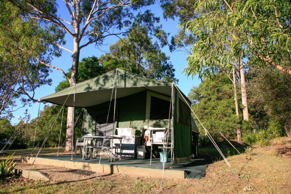 Una carpa con una mesa y sillas dispuestas en un área boscosa.
