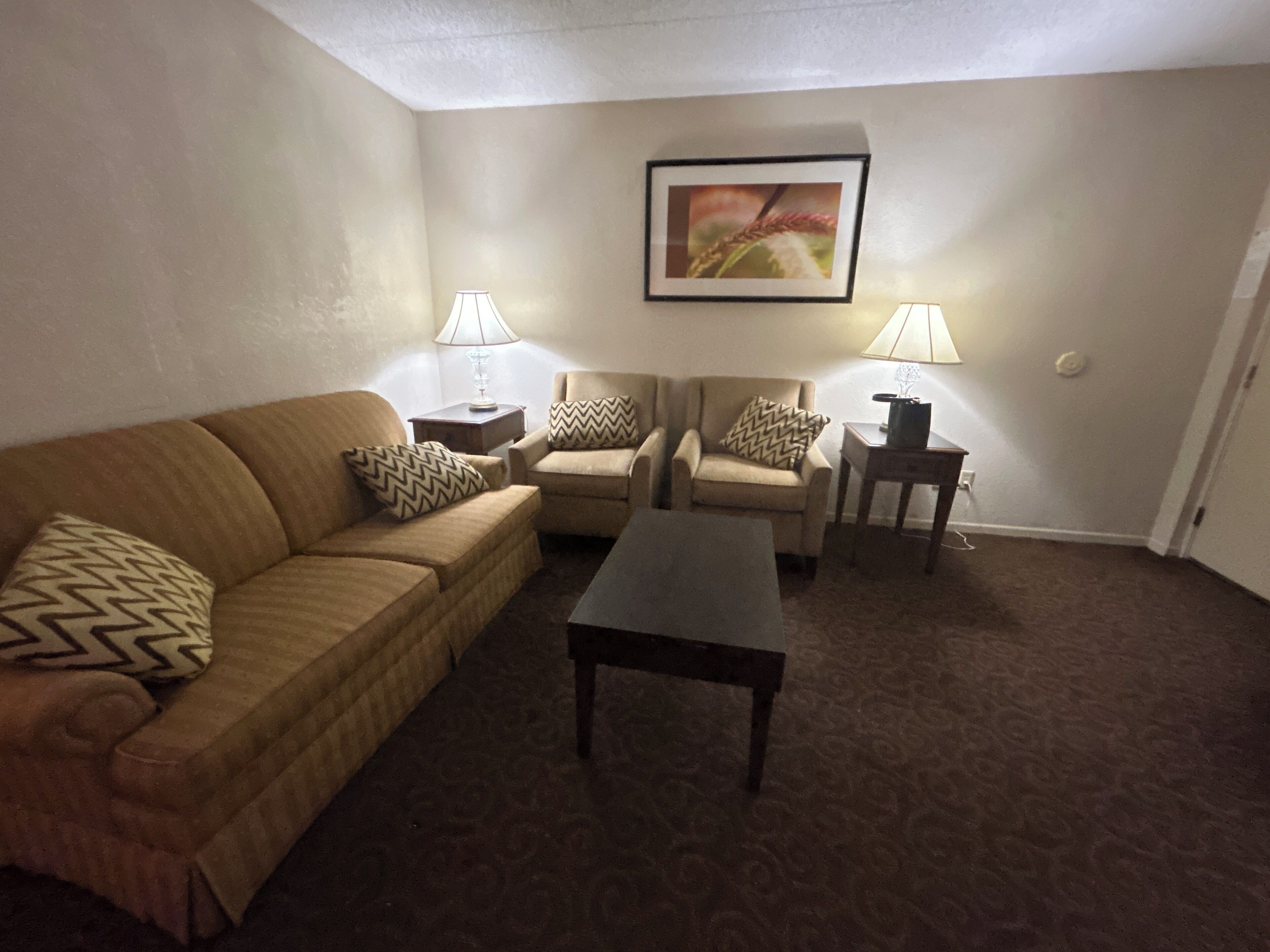 Phòng Suite, 1 giường cỡ king, bồn tắm nước nóng | Bàn, bàn ủi/dụng cụ ủi quần áo, truy cập Internet không dây miễn phí 