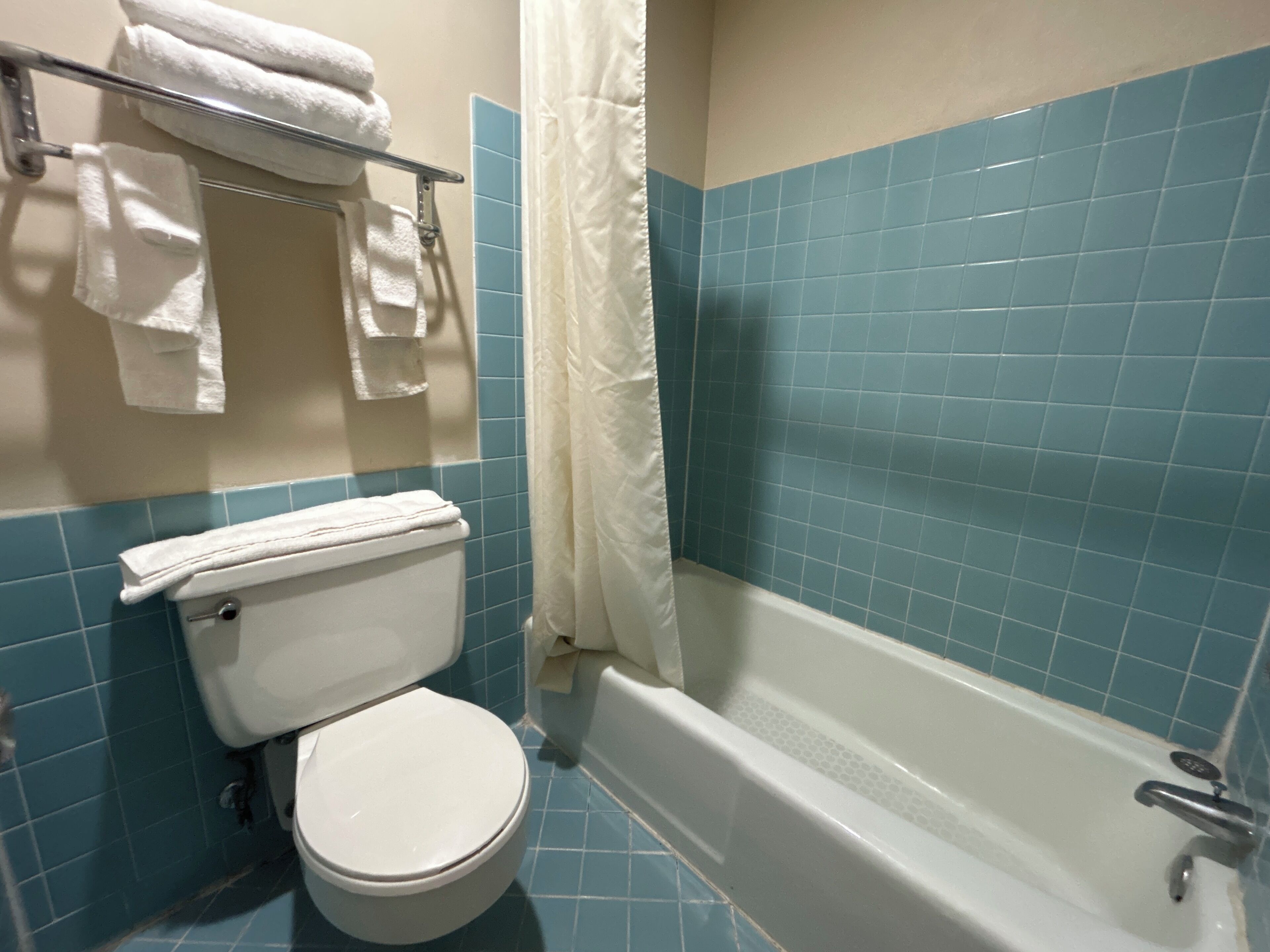 Een badkamer met toilet, bad en douchegordijn.