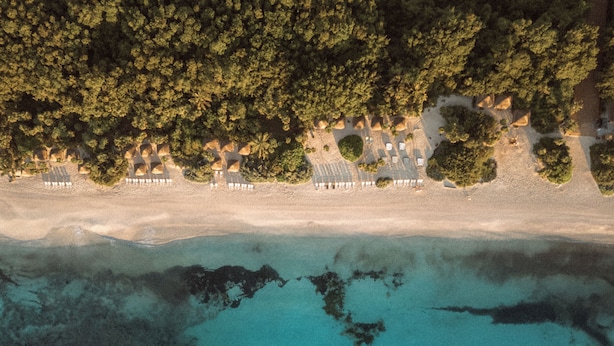 An aerial view of a beach resort with rows of beach chairs and umbrellas, a sandy beach, and clear turquoise water.
