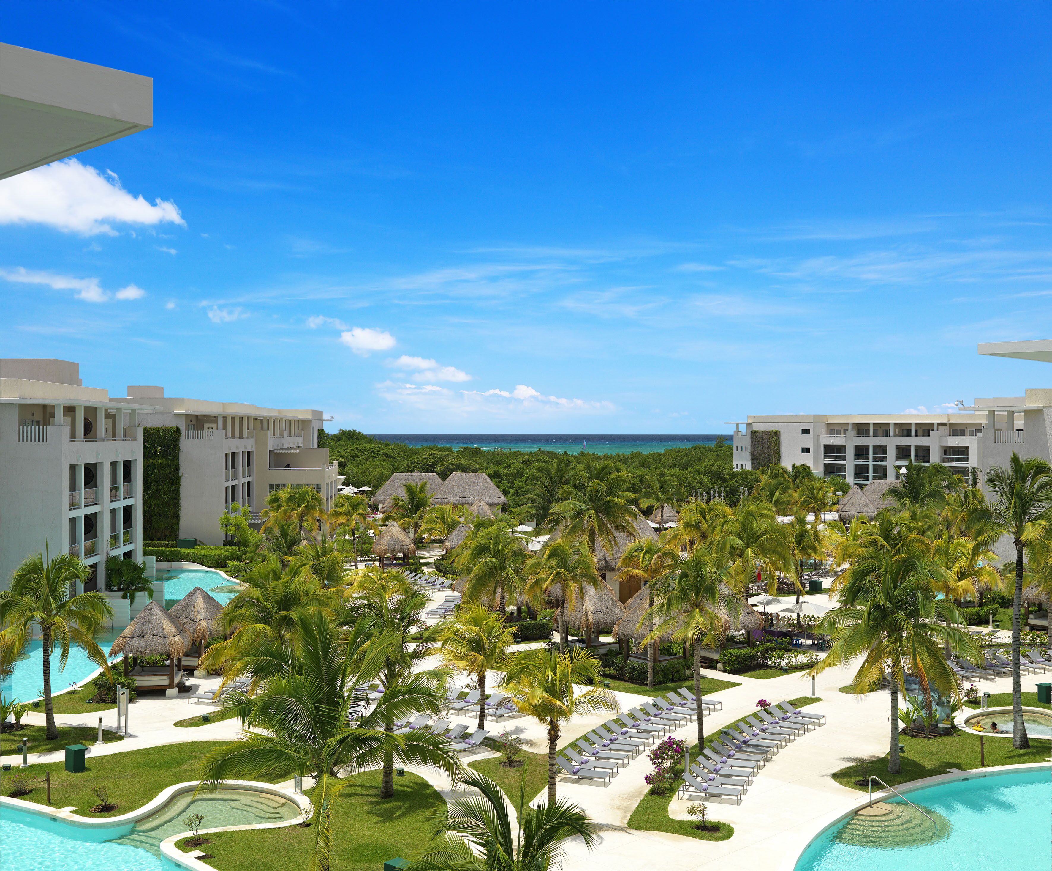 Un resort con piscina, palmeras y vista al océano.