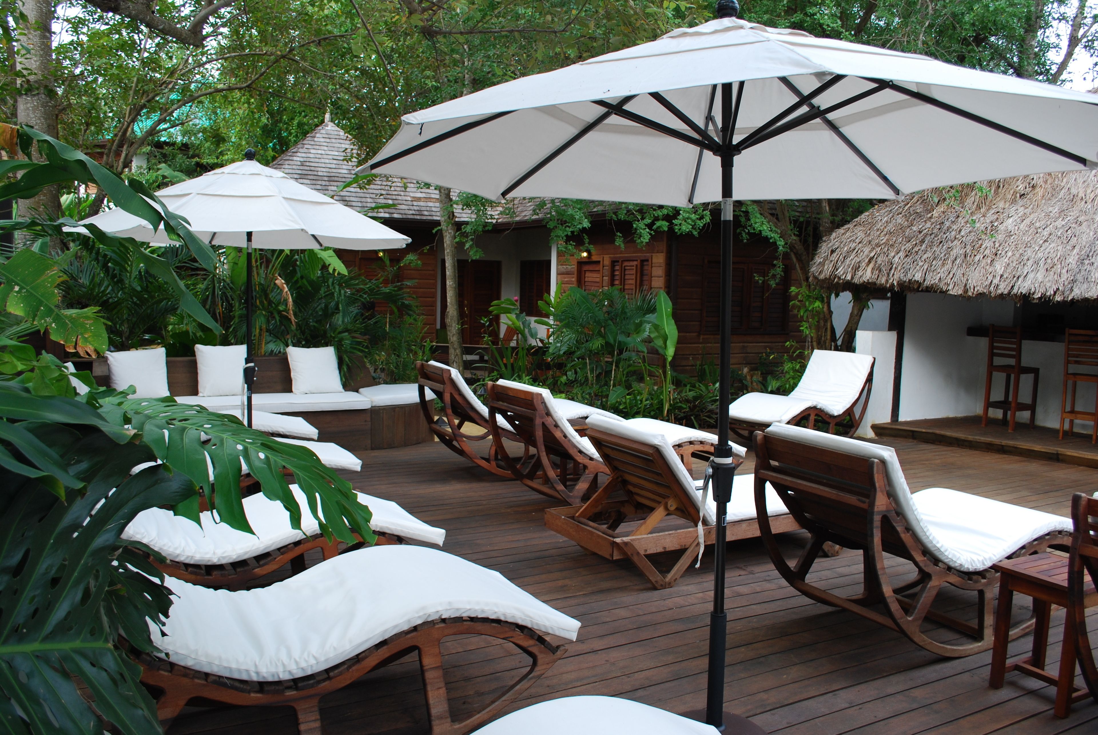 A wooden deck with lounge chairs and umbrellas, surrounded by lush greenery.
