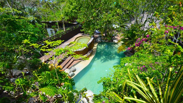 Ein üppiger Garten mit Swimmingpool, umgeben von dichtem Grün und tropischen Pflanzen.