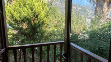 A balcony with a wooden railing, a view of a lush green landscape, and a clear sky.