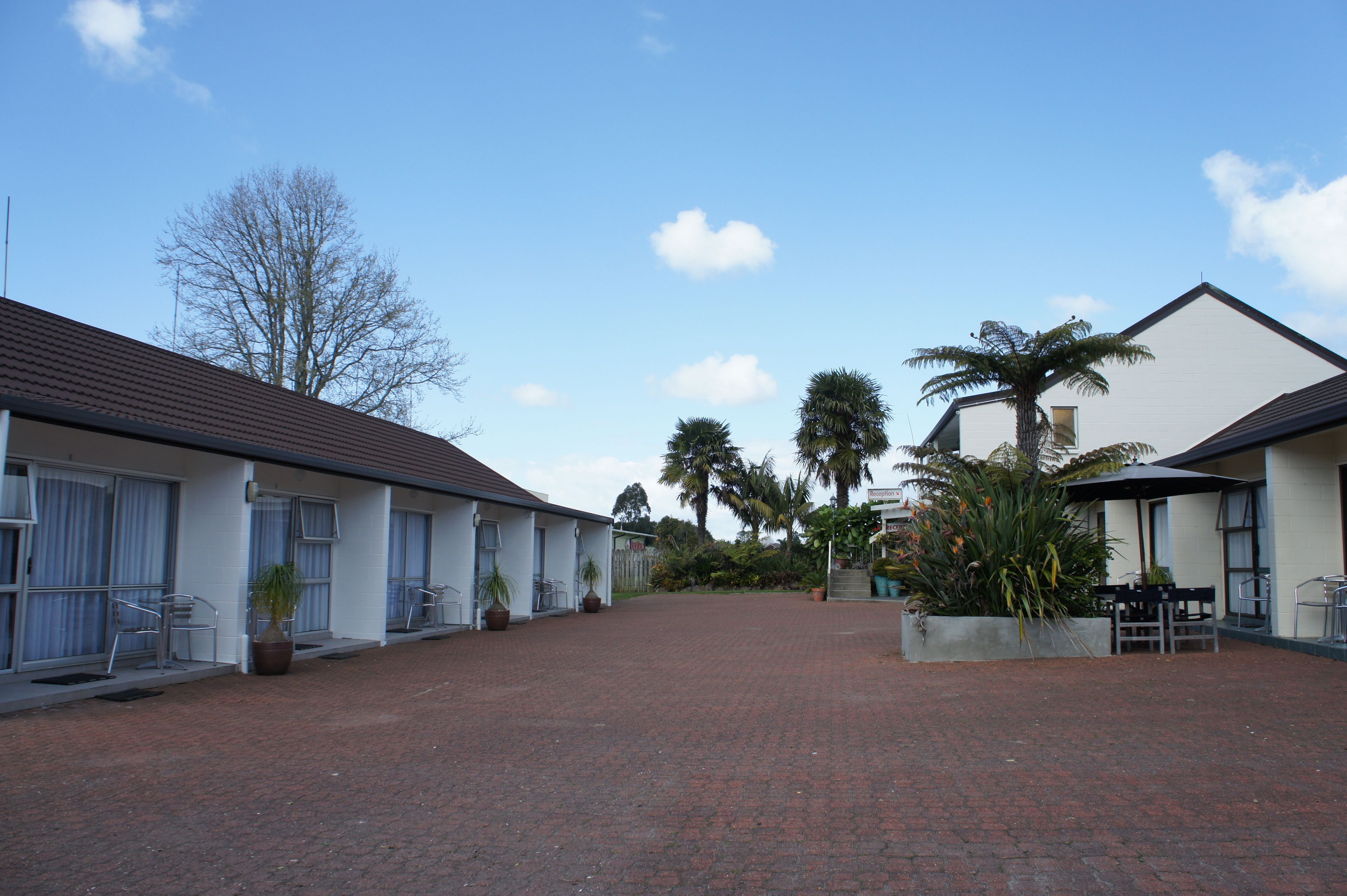Un hôtel doté d’une cour en briques, de murs blancs et de palmiers.