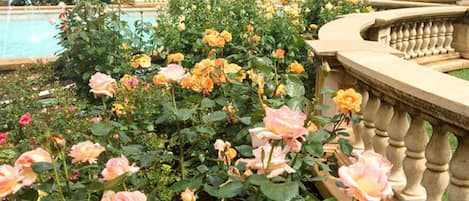 Jardin