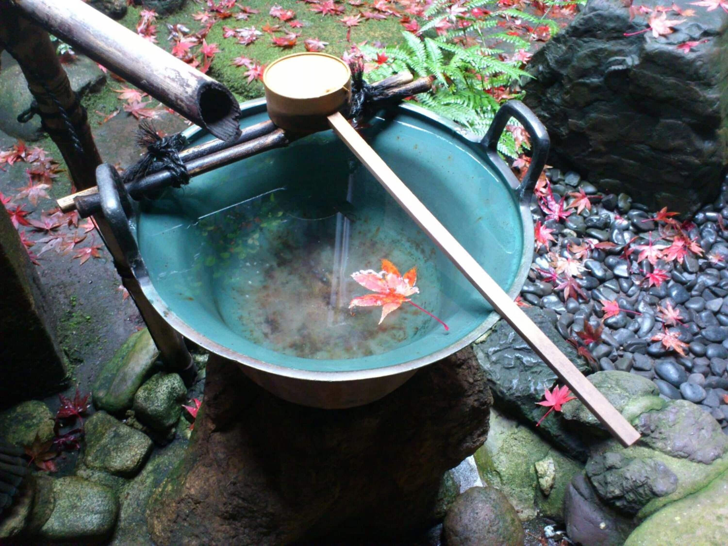 A traditional Japanese water feature with a wooden ladle, surrounded by rocks and autumn leaves.