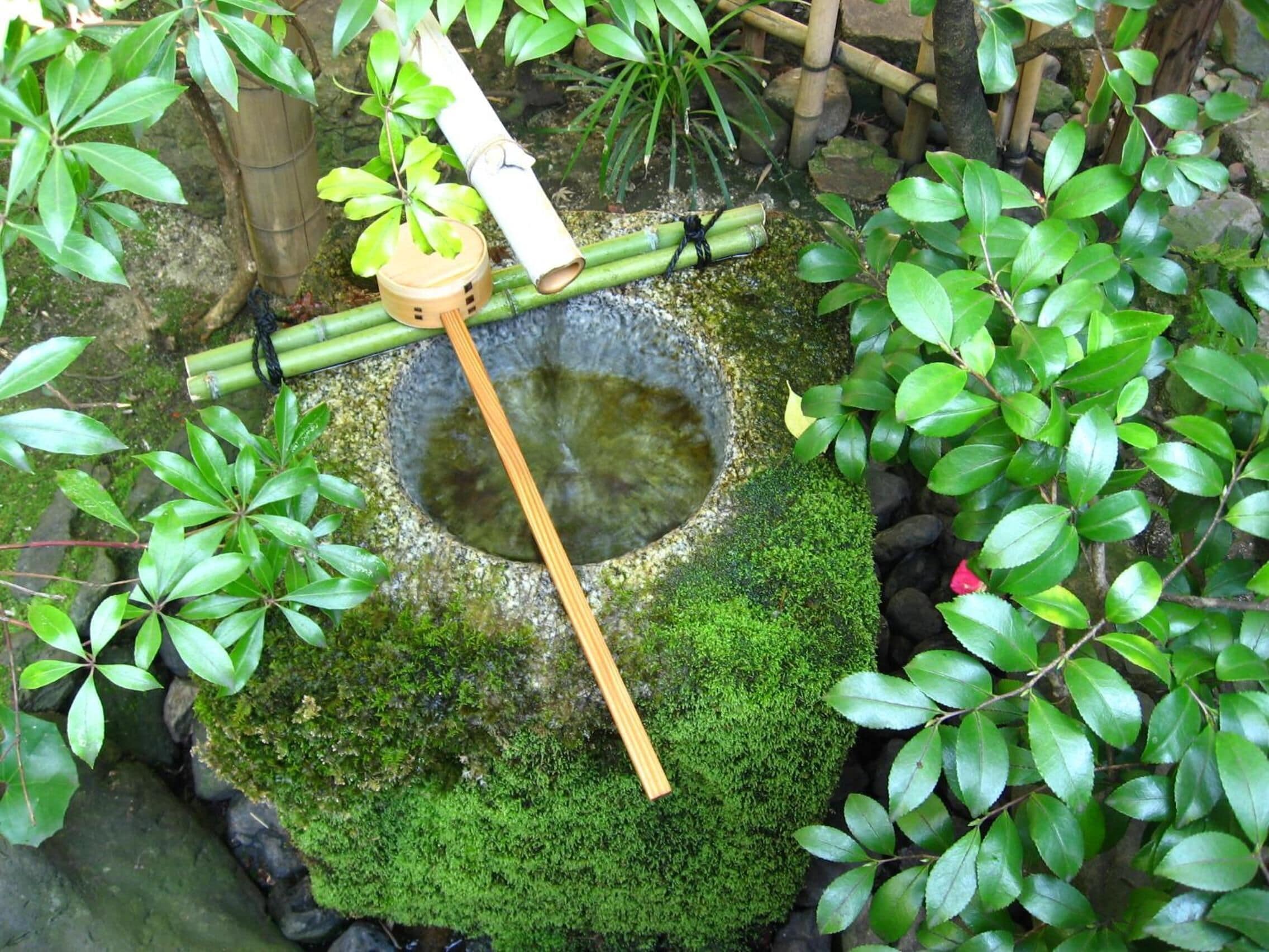 Un jardin japonais traditionnel avec un bassin en pierre, du bambou et une végétation luxuriante.