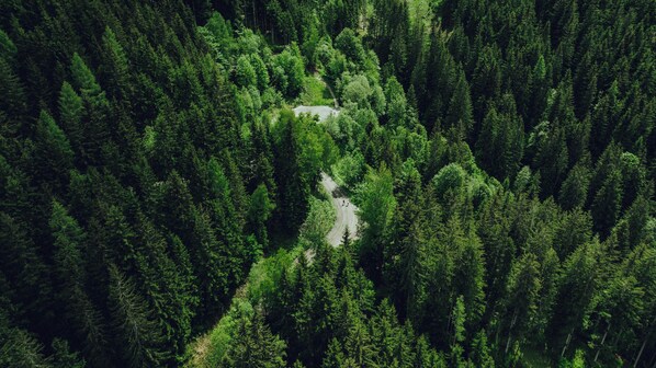 An aerial view of a dense forest with a winding path.