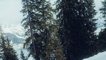 A skier on a snowy slope with tall evergreen trees and distant mountains.