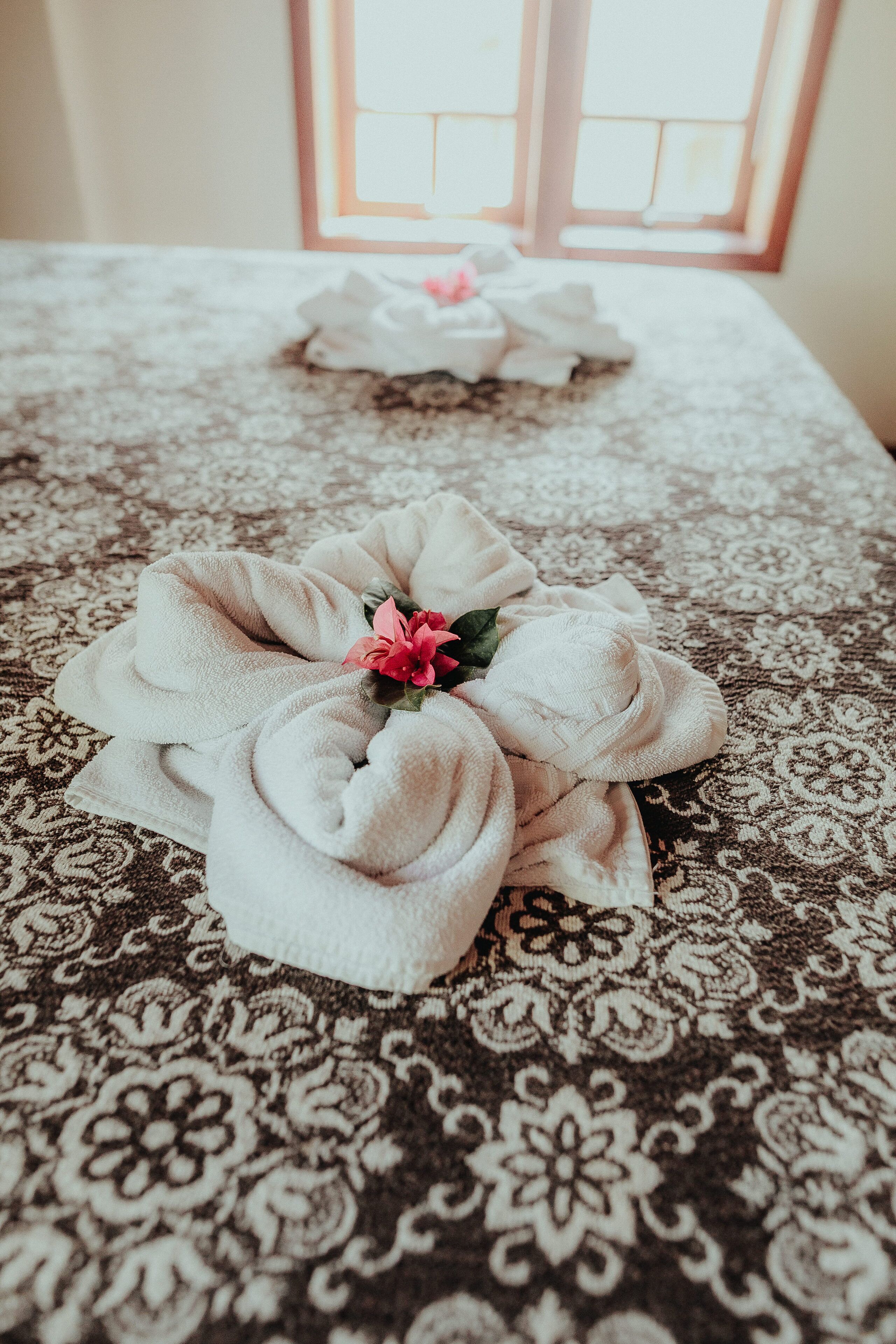 Foto - Pousada Colinas da Lagoa