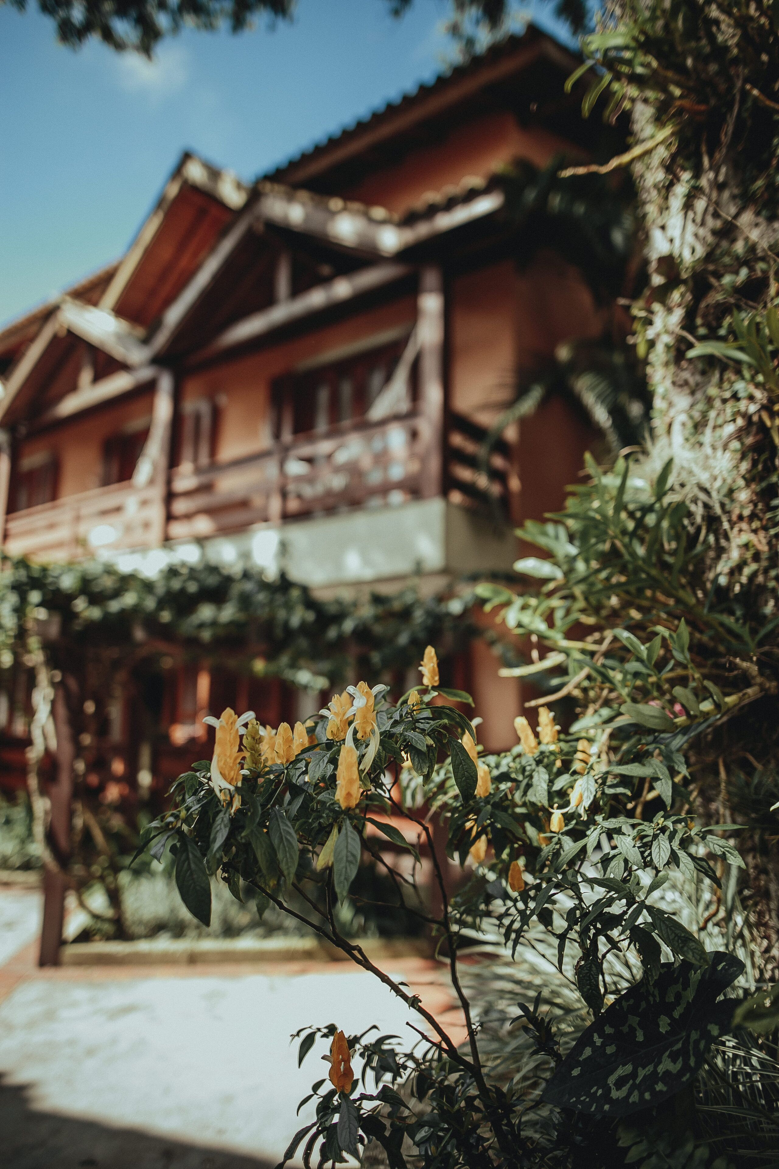 Foto - Pousada Colinas da Lagoa