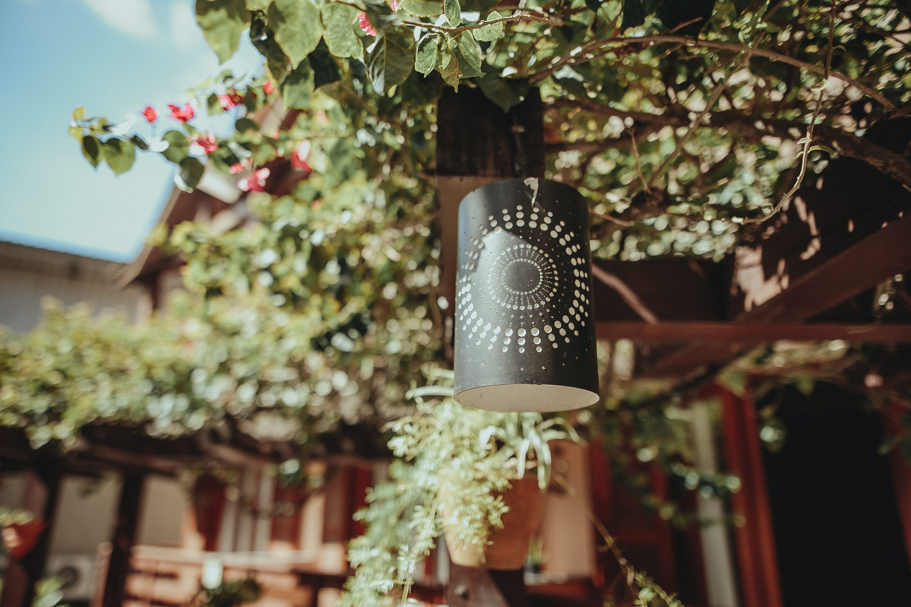 Foto - Pousada Colinas da Lagoa