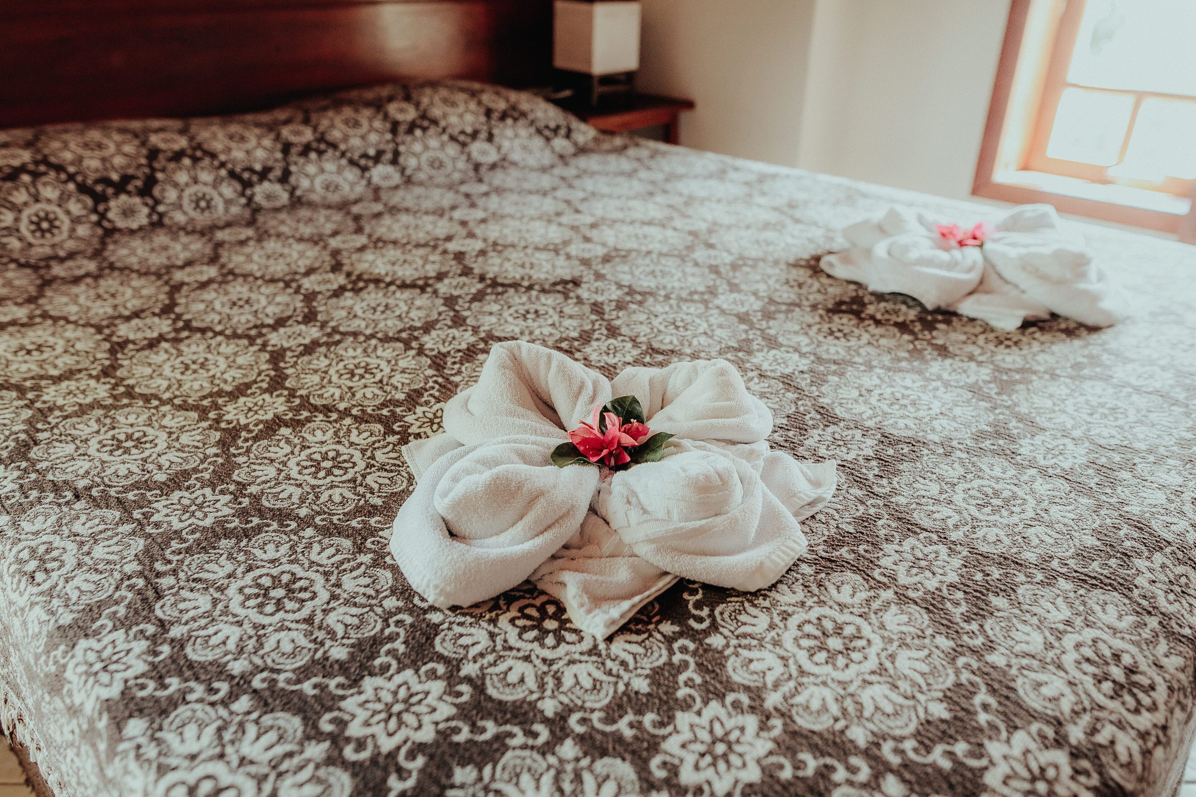 Foto - Pousada Colinas da Lagoa