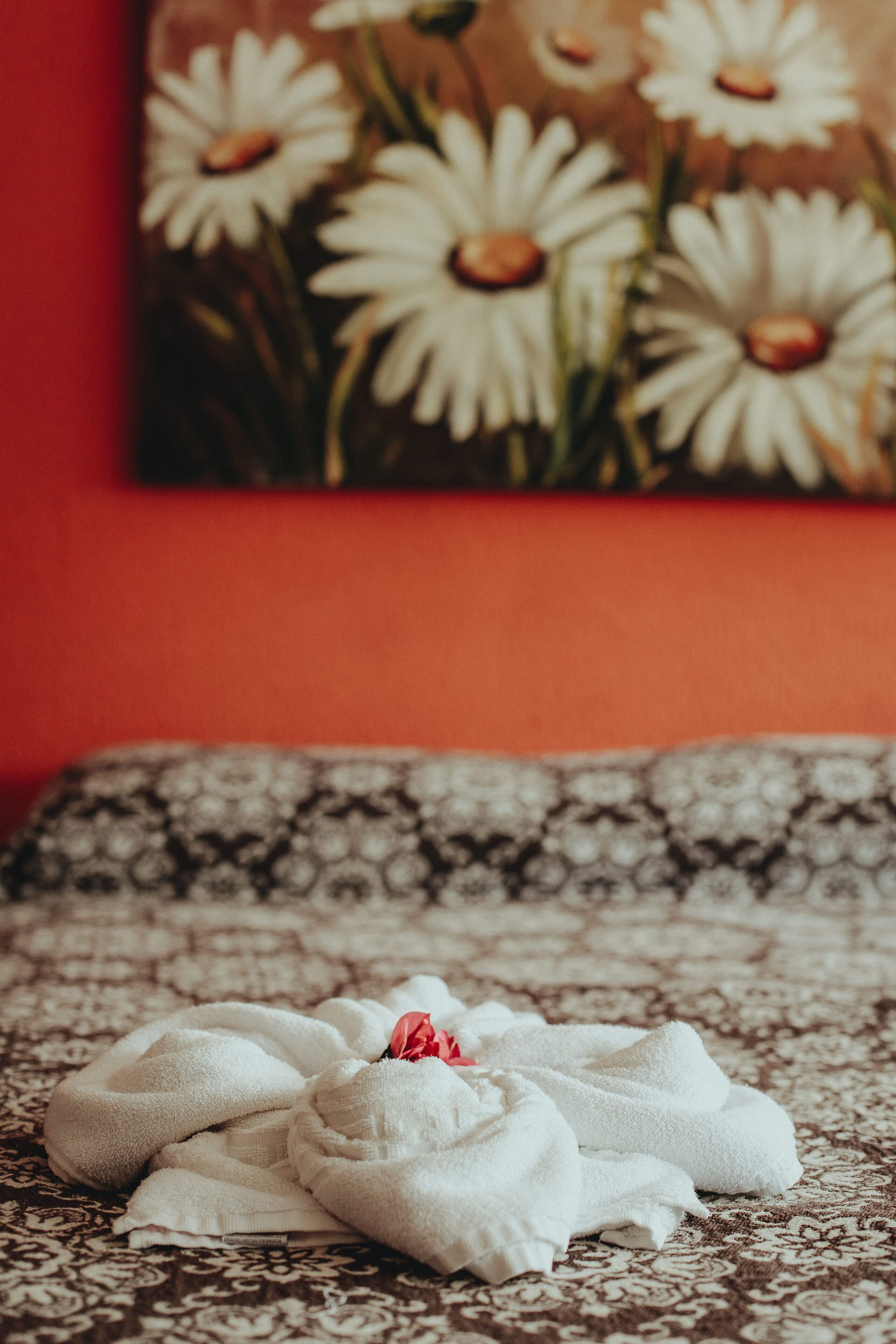 Foto - Pousada Colinas da Lagoa