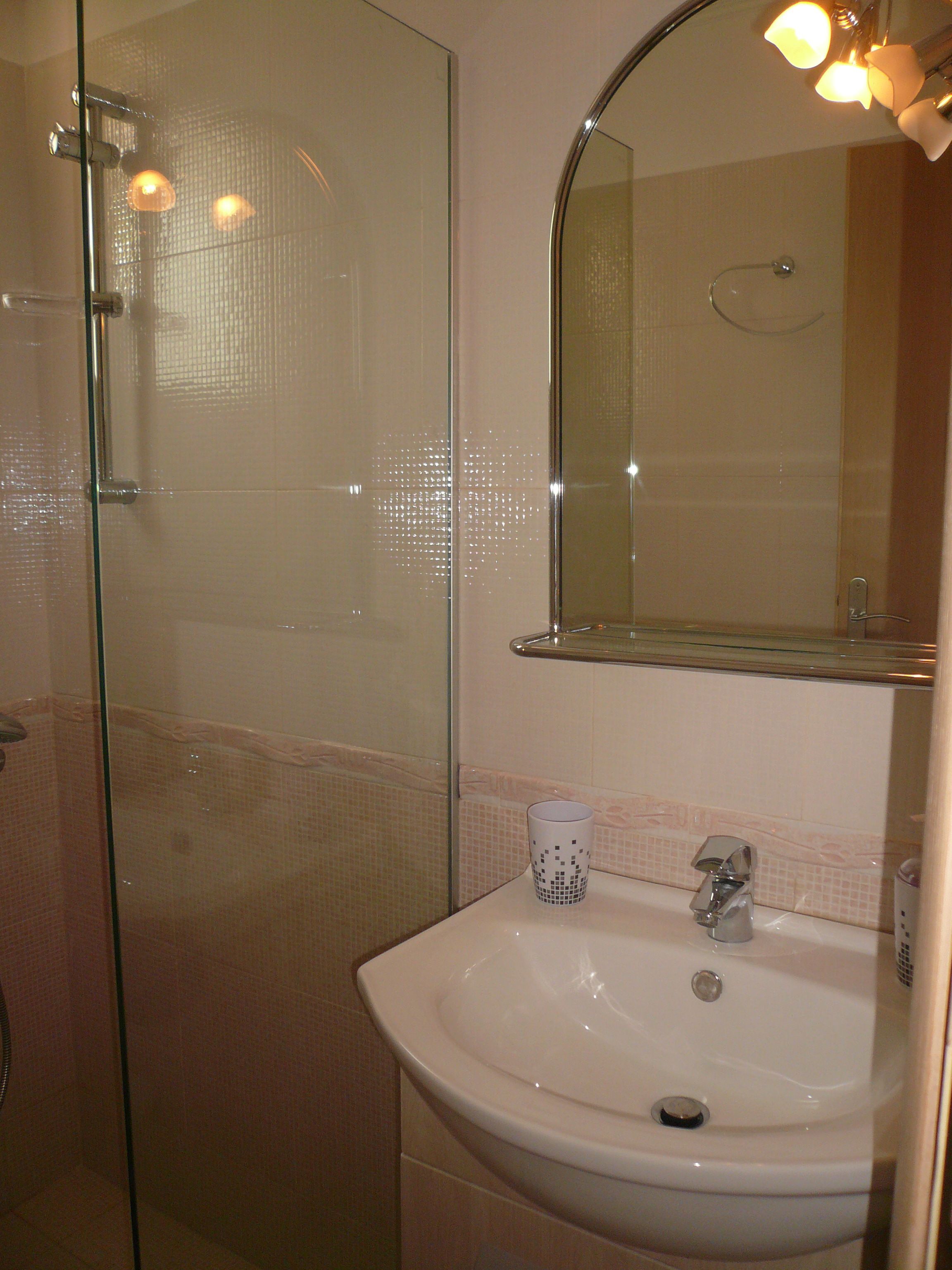 standard room | bathroom | shower, hair dryer, towels