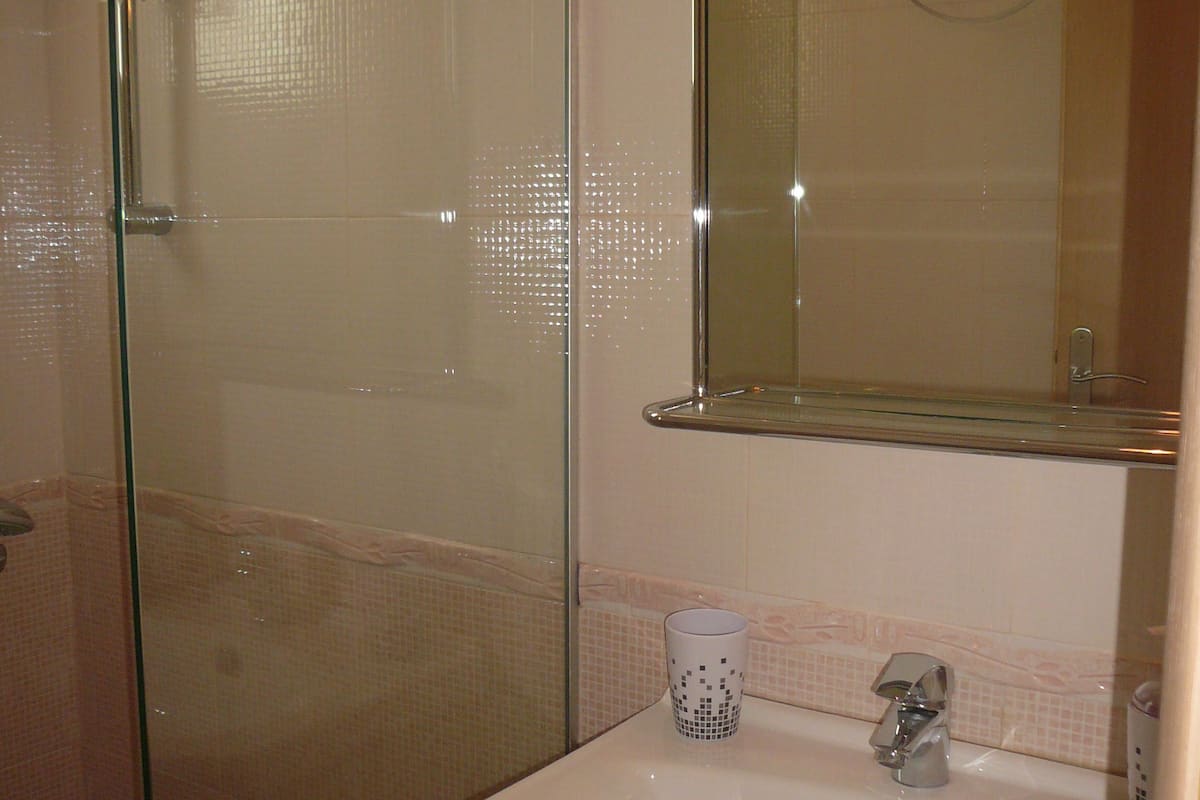 standard room | bathroom | shower, hair dryer, towels