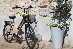 Ein Fahrrad mit Korb und einem Blumentopf daneben.