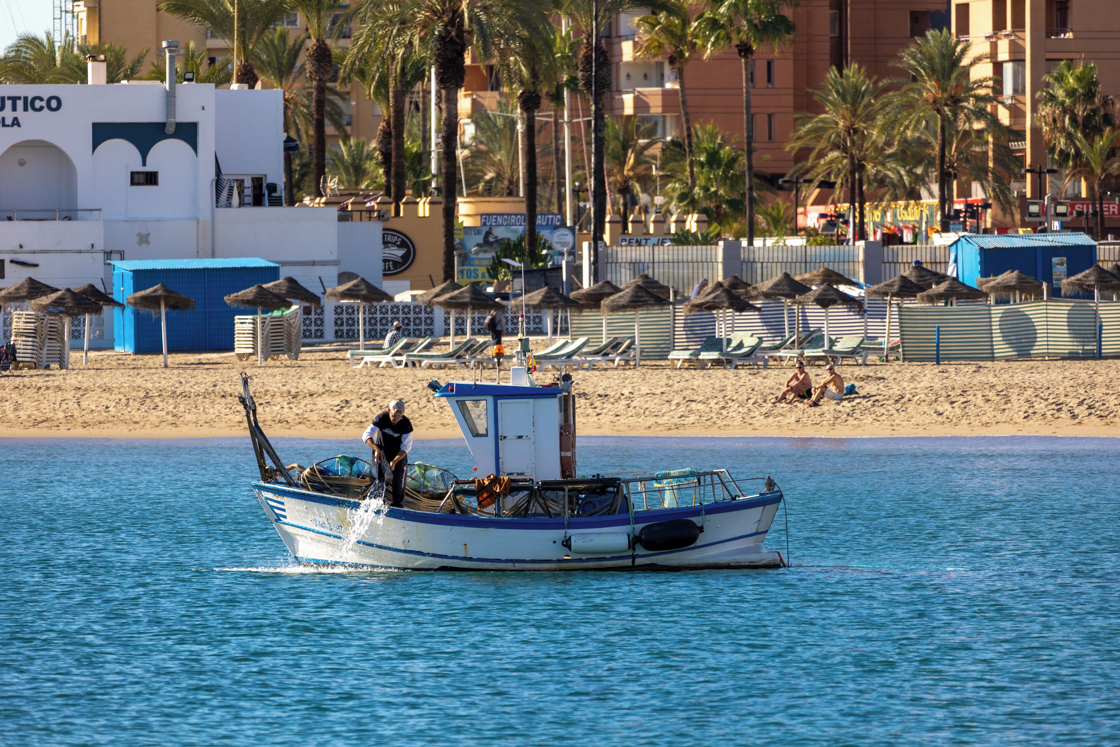 A boat on calm water with a beach and palm trees in the background.
