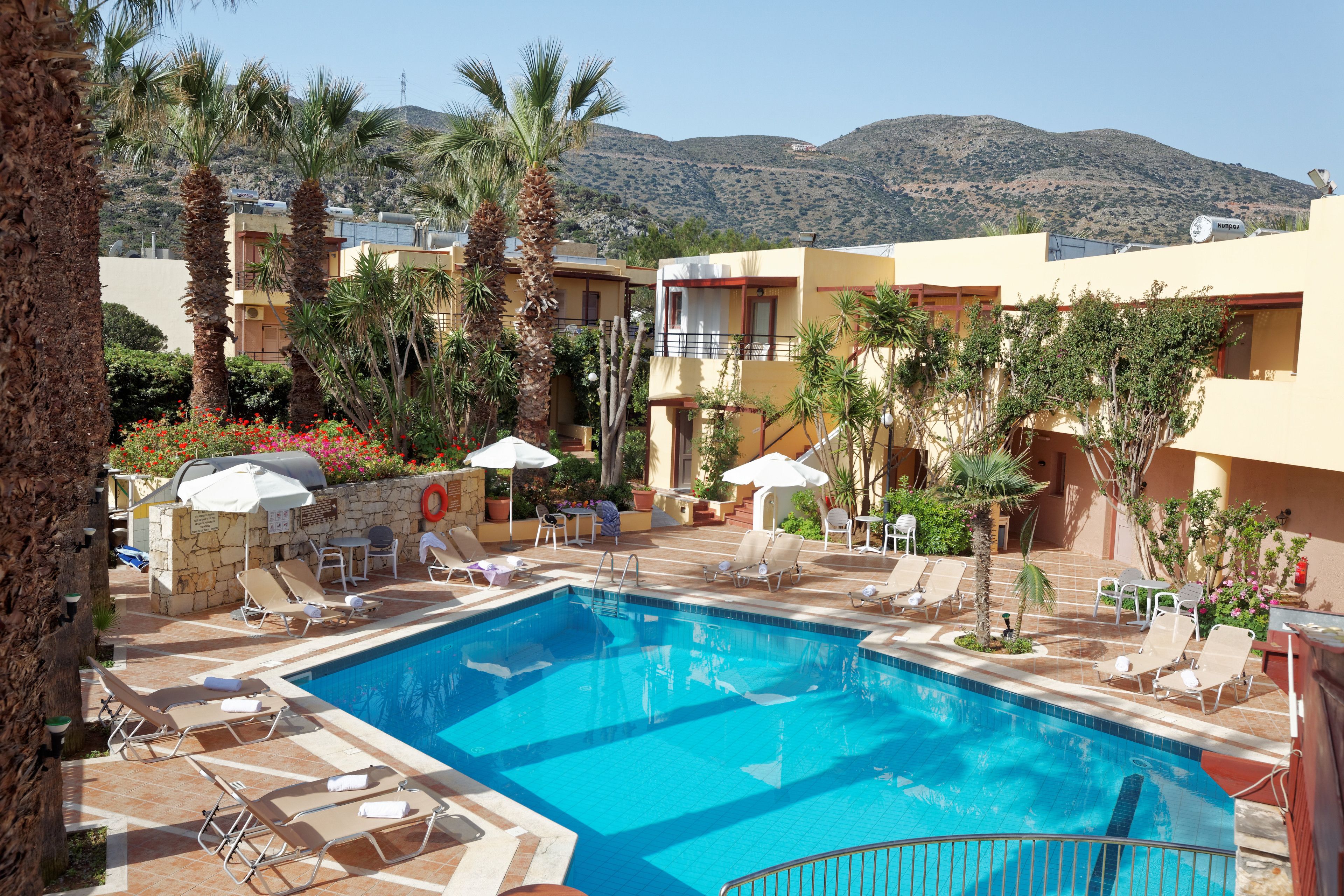 A swimming pool with lounge chairs and umbrellas, surrounded by palm trees and a mountainous backdrop.