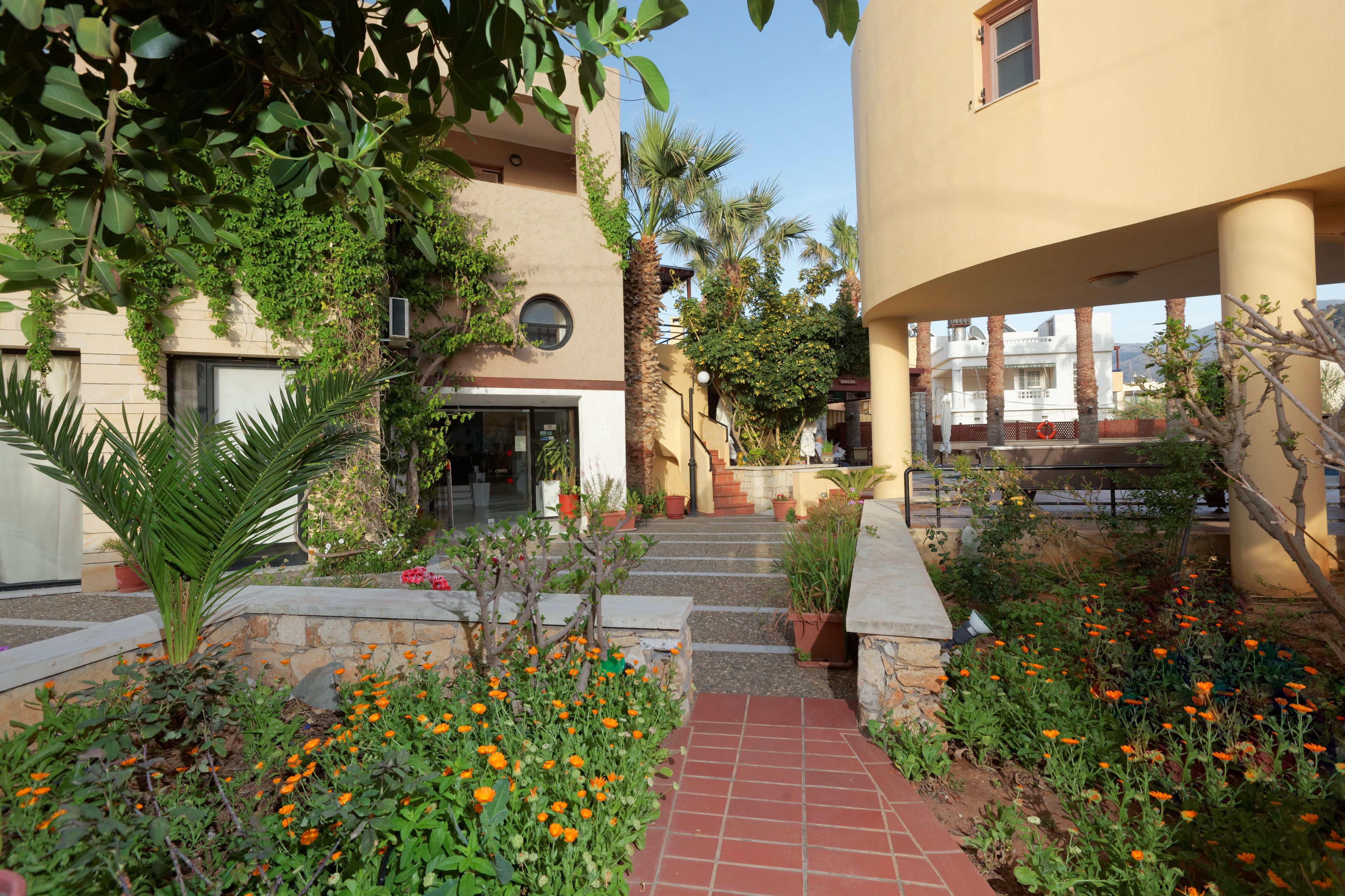 A courtyard with a tiled pathway, potted plants, and orange flowers.