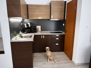 A compact kitchen with a sink, stove, and cabinets, and a dog sitting on the floor.