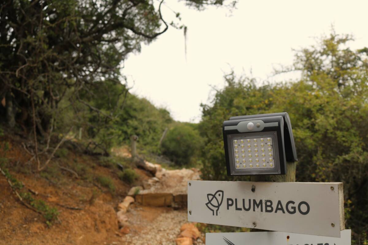 Kamar Double Mewah | Seprai katun Mesir, seprai premium, dan selimut bulu angsa