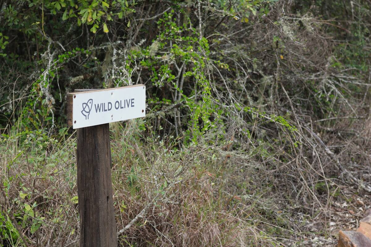 Kamar Double Mewah | Seprai katun Mesir, seprai premium, dan selimut bulu angsa