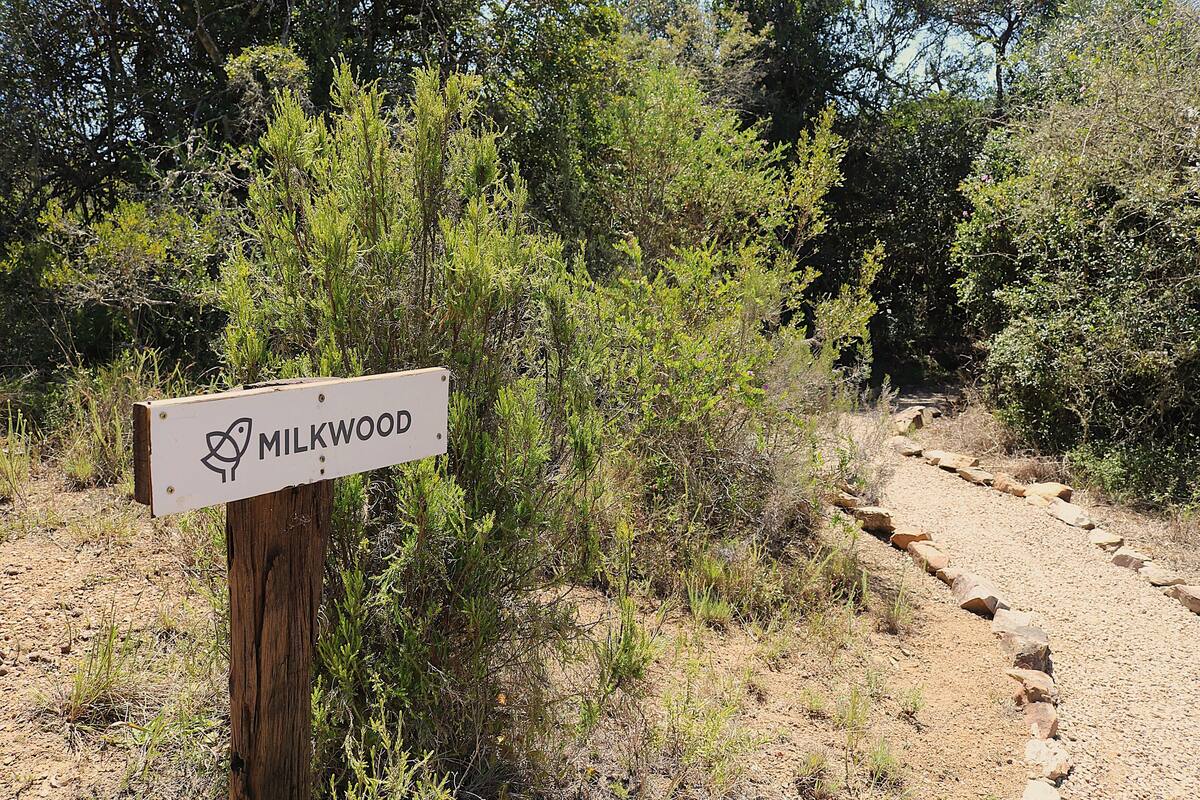 Kamar Double Mewah | Seprai katun Mesir, seprai premium, dan selimut bulu angsa