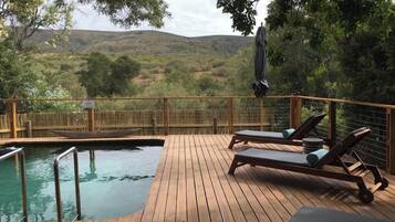 Outdoor pool, pool loungers